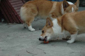 1380945163-2641601163