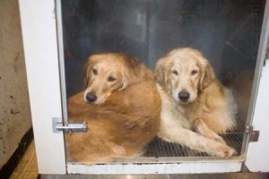 1380945164-1203891466