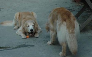 1380945164-714604531