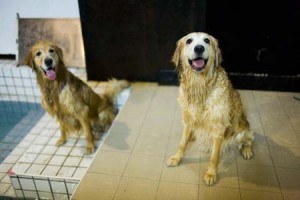 1380945165-1291883893