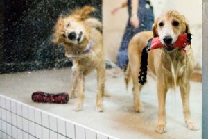 1380945165-3837298747