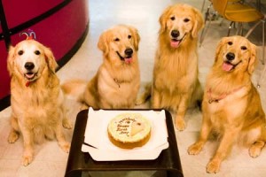 1380945166-3673977178