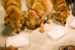 1380945166-375662189