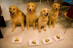 1380945167-167194813