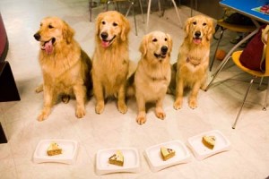 1380945167-2407674618