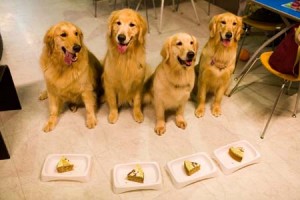 1380945167-4017860177