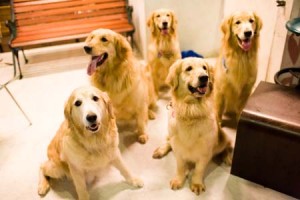 1380945168-1654553799