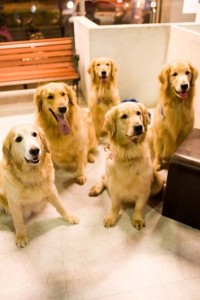 1380945168-3092598917