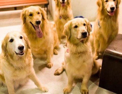 1380945168-3092598917