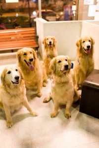 1380945169-4138811005