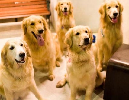 1380945169-4138811005