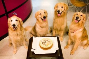 1380945170-704958805