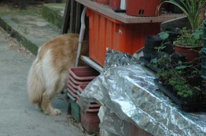 1380945171-2321909905