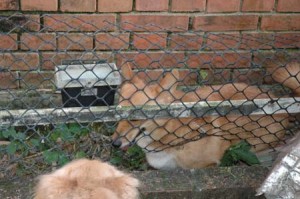 1380945171-3904071510