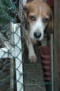 1380945172-1041711575