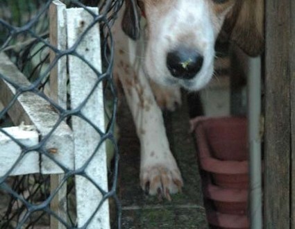 1380945172-1041711575