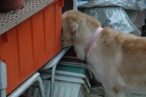 1380945172-208958176