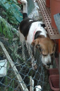 1380945173-713639793