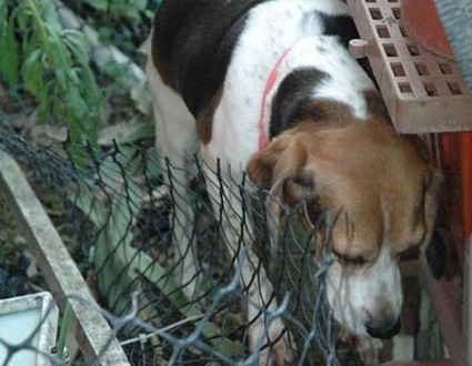 1380945173-713639793