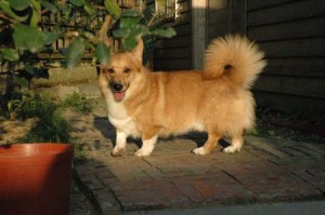 1380945174-1176299329