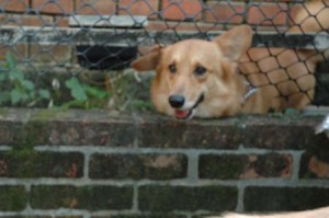 1380945174-1207190993