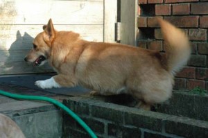 1380945174-3730203963