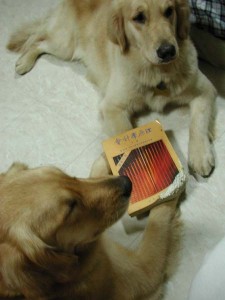 1380945175-2172343940