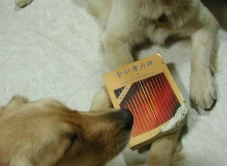 1380945175-2172343940