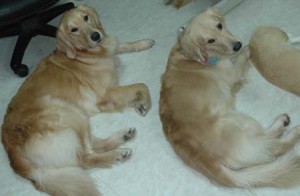 1380945175-726677167