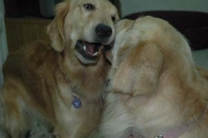 1380945176-2009936022