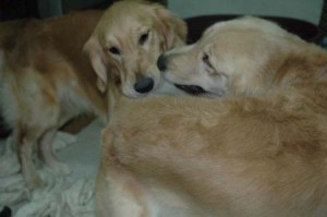 1380945176-2224376714