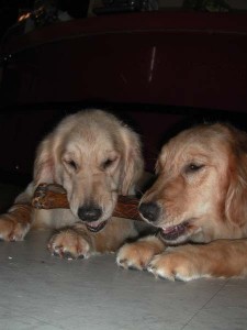 1380945177-3585053127