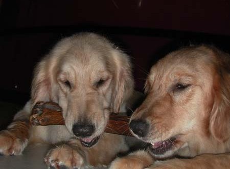 1380945177-3585053127