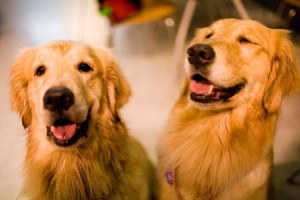 1380945178-2706975877