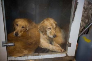 1380945178-3015652049