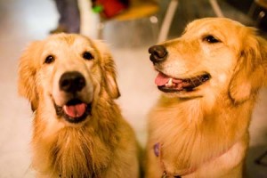 1380945178-3150470607