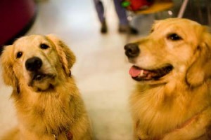 1380945179-3749163542