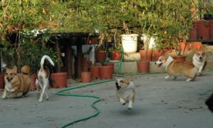 1380945180-1635099848