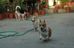 1380945180-3993524656