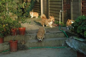 1380945181-1464176664