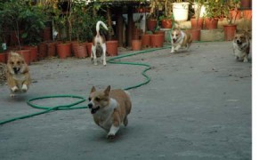 1380945181-4244210481