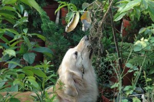 1380945191-371693020