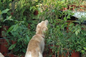 1380945191-4062922282