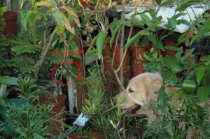 1380945192-3320267781