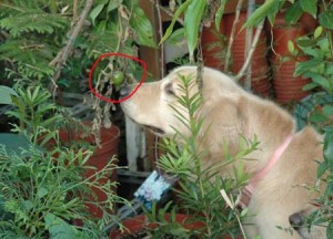 1380945192-3638921600