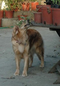 1380945194-1180822582