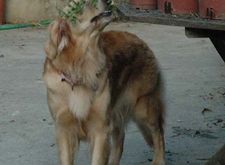 1380945194-1180822582