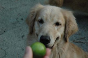 1380945194-266554332