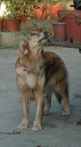 1380945195-284971573