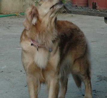 1380945195-284971573